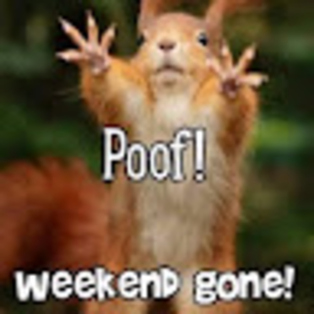 Meet your Posher, Earl